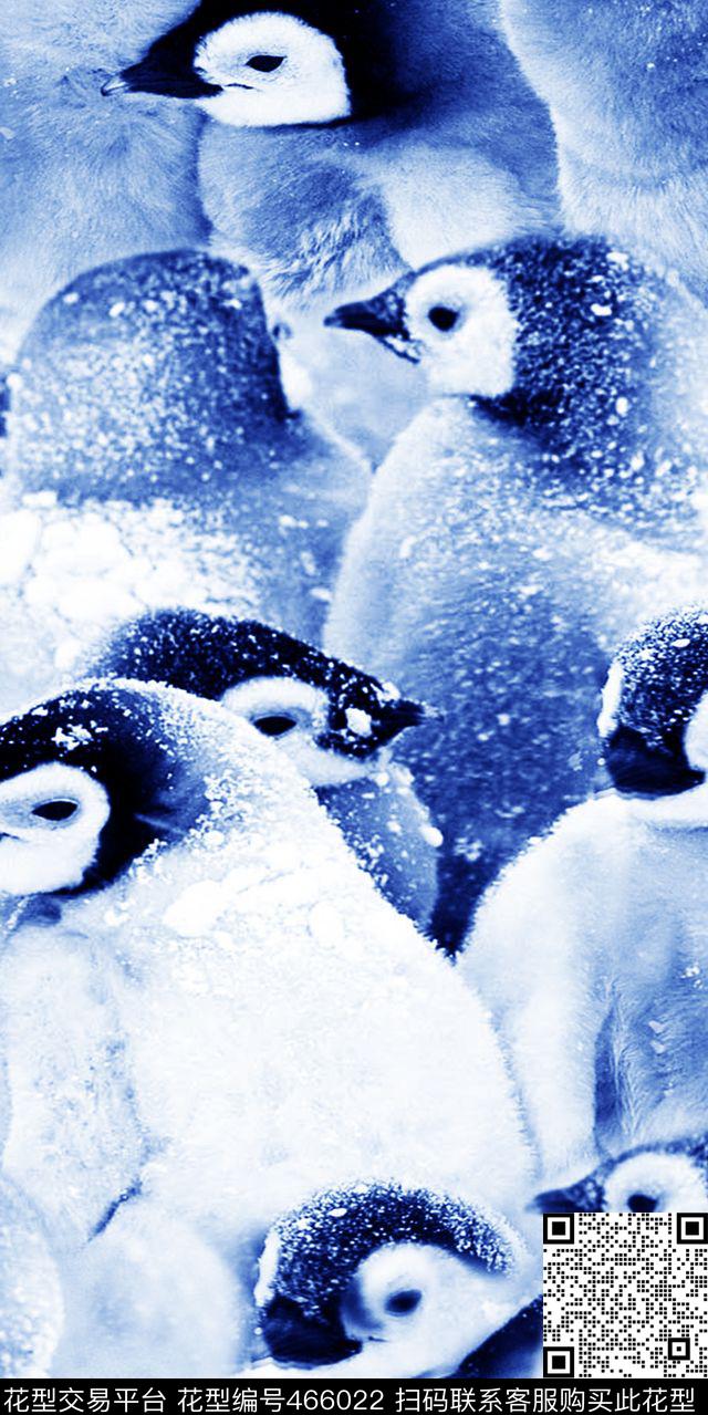 丝绸真丝棉布南极动物小企鹅时尚流行新潮数码印花华亿平台下载（图片编号: 466022） - 瓦栏（Walan）