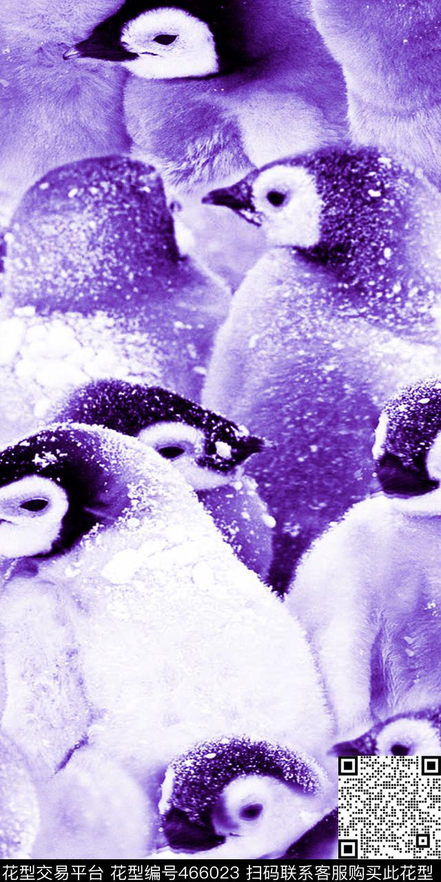 丝绸真丝棉布南极动物小企鹅时尚流行新潮数码印花华亿平台下载（图片编号: 466023） - 瓦栏（Walan）