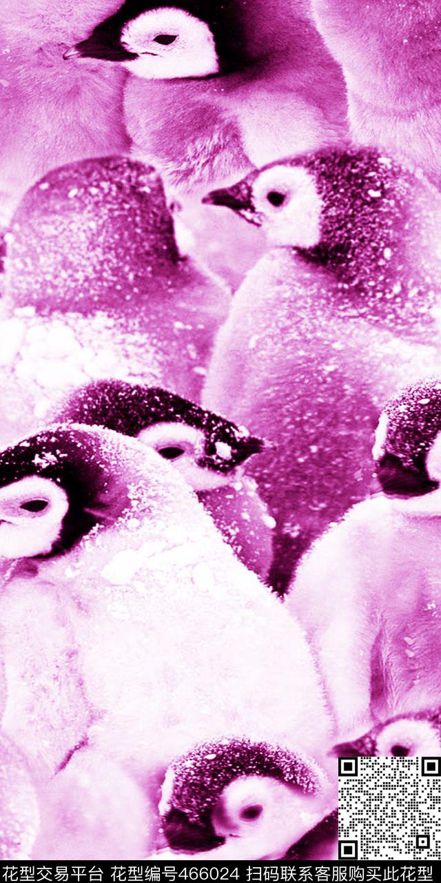 丝绸真丝棉布南极动物小企鹅时尚流行新潮数码印花华亿平台下载（图片编号: 466024） - 瓦栏（Walan）