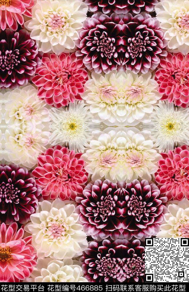 大菊花各色花卉传统印花华亿平台下载（图片编号: 466885） - 瓦栏（Walan）