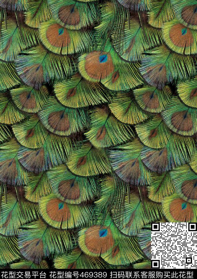 照片景观孔雀羽毛动物纹理印花流行时尚数码印花华亿平台下载（图片编号: 469389） - 瓦栏（Walan）