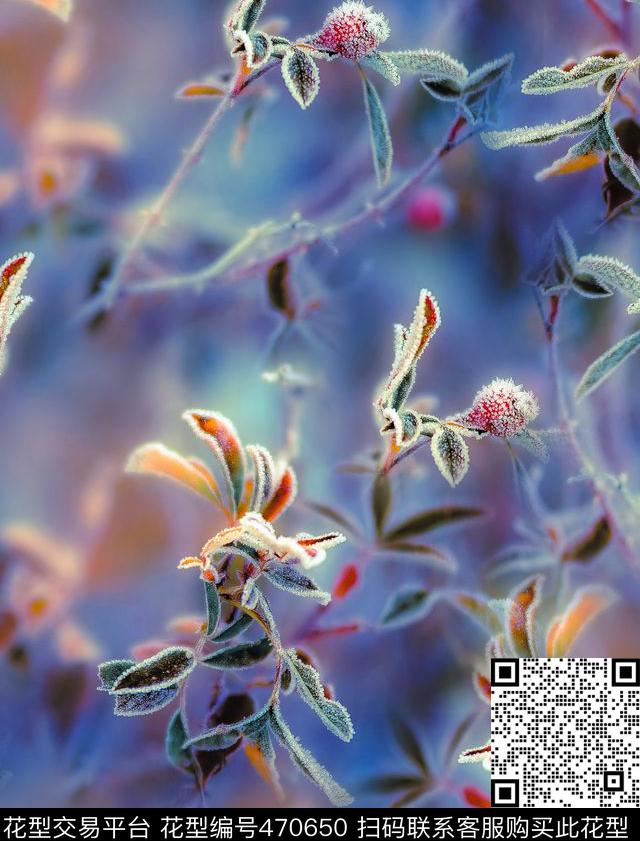 晨间露水图拼贴MAX-女装照片花卉数码印花华亿平台下载（图片编号: 470650） - 瓦栏（Walan）