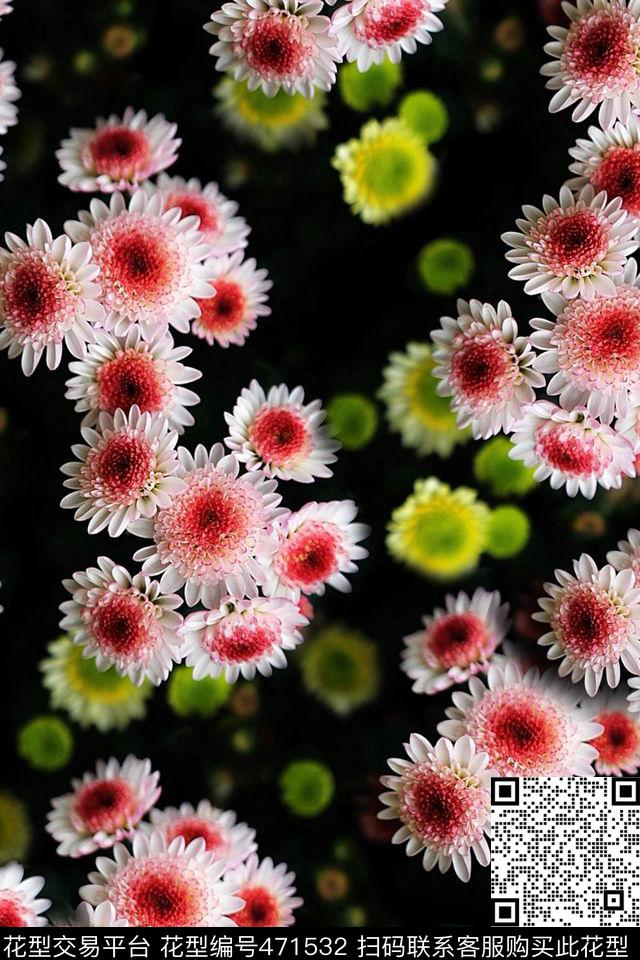 清新雏菊花卉数码印花华亿平台下载（图片编号: 471532） - 瓦栏（Walan）