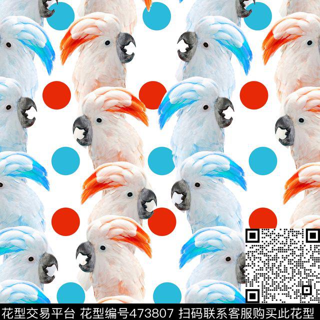 波点鹦鹉对唱数码印花华亿平台下载（图片编号: 473807） - 瓦栏（Walan）