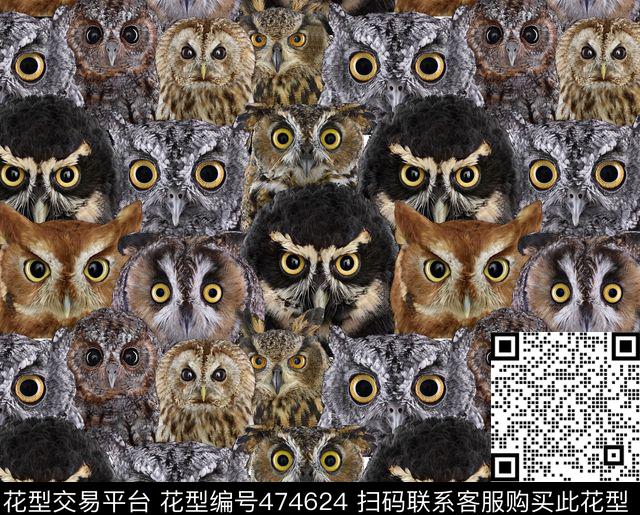 猫头鹰流行时尚男装华亿平台数码印花华亿平台下载（图片编号: 474624） - 瓦栏（Walan）