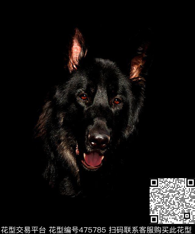 狼狗头男装定位数码印花华亿平台下载（图片编号: 475785） - 瓦栏（Walan）