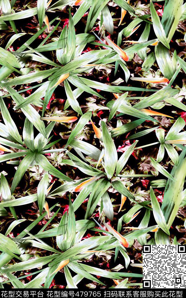 沙滩裤植物叶子男装数码印花华亿平台下载（图片编号: 479765） - 瓦栏（Walan）