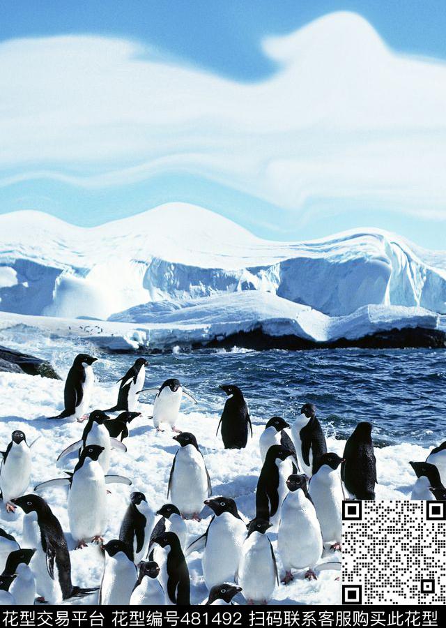 冰雪雪山海洋数码印花华亿平台下载（图片编号: 481492） - 瓦栏（Walan）