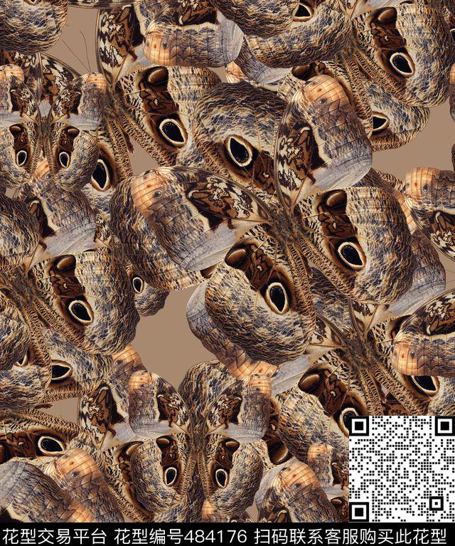 复古蝴蝶夹克华亿平台数码印花华亿平台下载（图片编号: 484176） - 瓦栏（Walan）