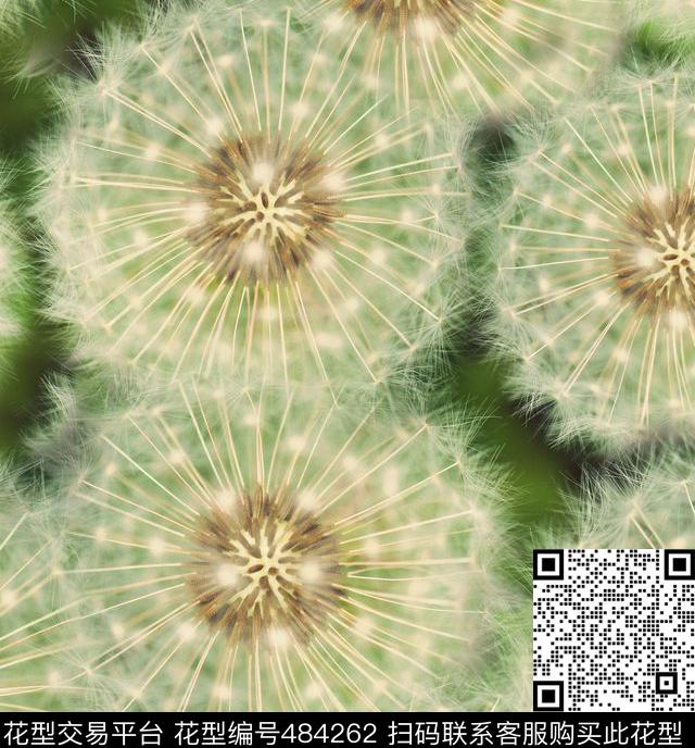 流行时尚手绘幻彩蒲公英欧美数码印花华亿平台下载（图片编号: 484262） - 瓦栏（Walan）