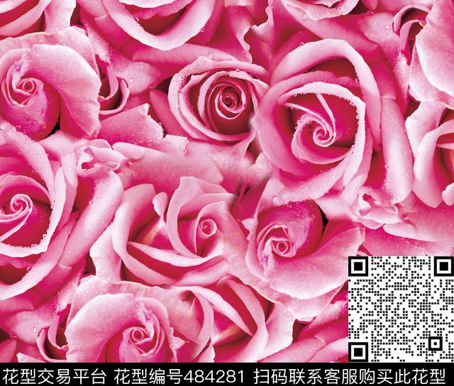 流行时尚玫瑰花卉欧美数码印花华亿平台下载（图片编号: 484281） - 瓦栏（Walan）