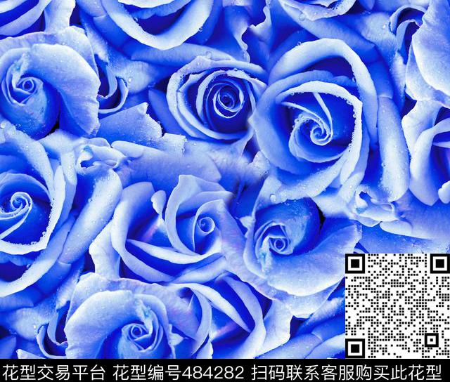 流行时尚玫瑰花卉欧美数码印花华亿平台下载（图片编号: 484282） - 瓦栏（Walan）