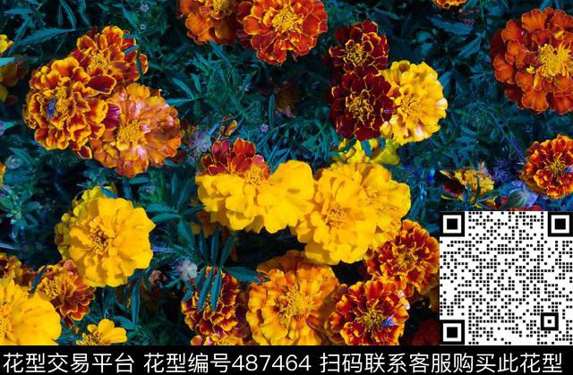 时尚花蕾花卉潮流红花黄花通用型图案数码印花华亿平台下载（图片编号: 487464） - 瓦栏（Walan）