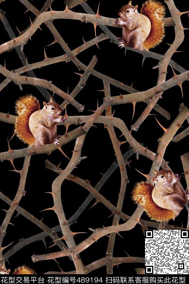潮流男装动物松鼠树数码印花华亿平台下载（图片编号: 489194） - 瓦栏（Walan）