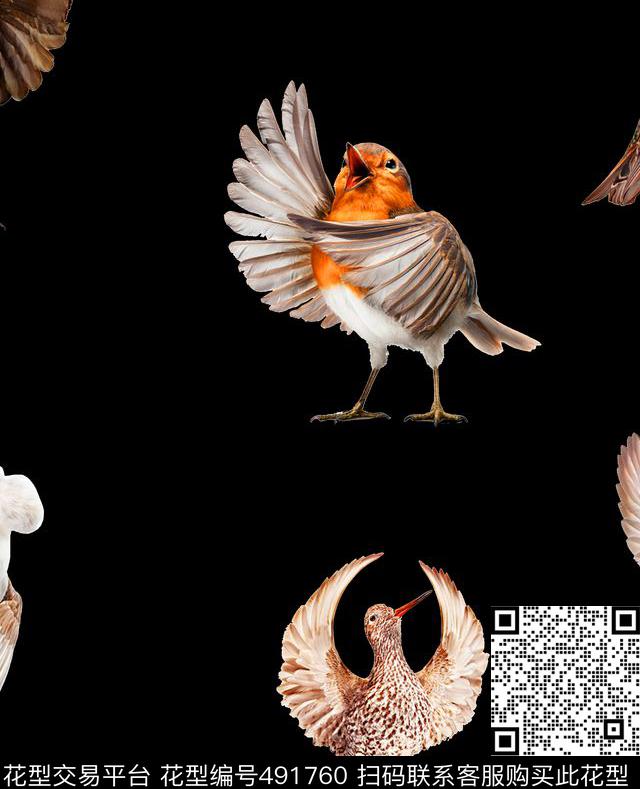 歌唱者鸟雀流行时尚欧美数码印花华亿平台下载（图片编号: 491760） - 瓦栏（Walan）