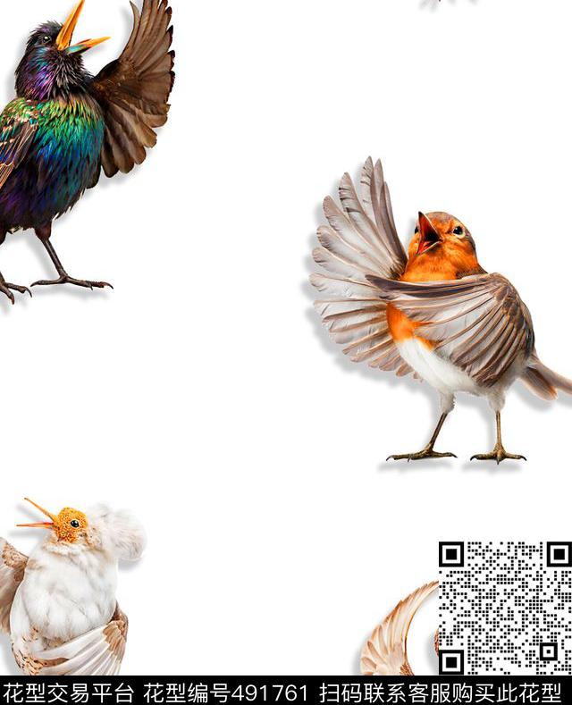 歌唱者鸟雀流行时尚欧美数码印花华亿平台下载（图片编号: 491761） - 瓦栏（Walan）