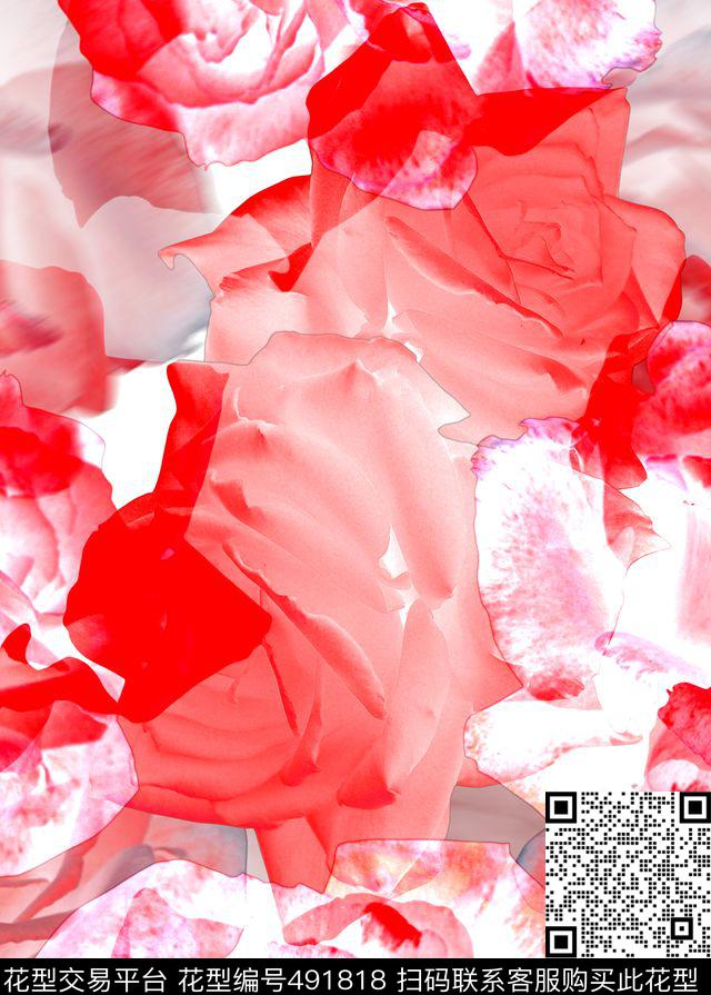 花卉女装玫瑰花休闲时尚数码印花华亿平台下载（图片编号: 491818） - 瓦栏（Walan）