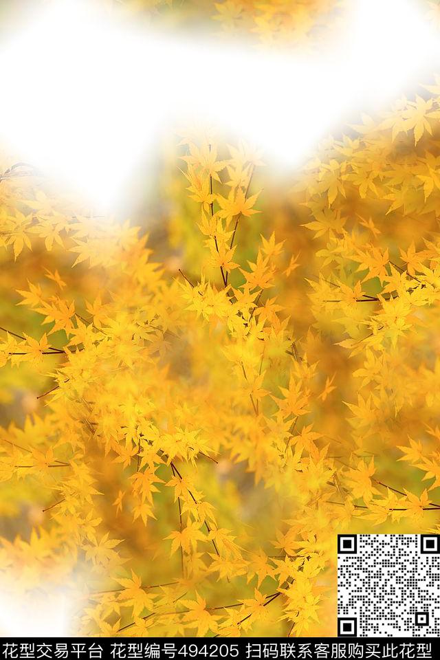 时尚大牌花卉数码印花华亿平台下载（图片编号: 494205） - 瓦栏（Walan）