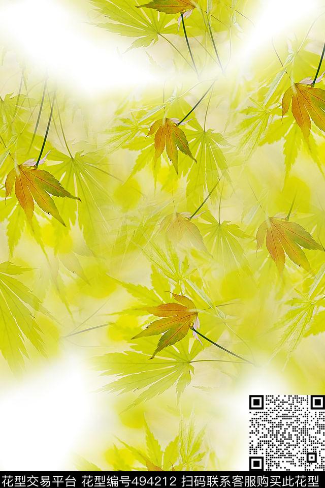 大牌花卉时尚数码印花华亿平台下载（图片编号: 494212） - 瓦栏（Walan）