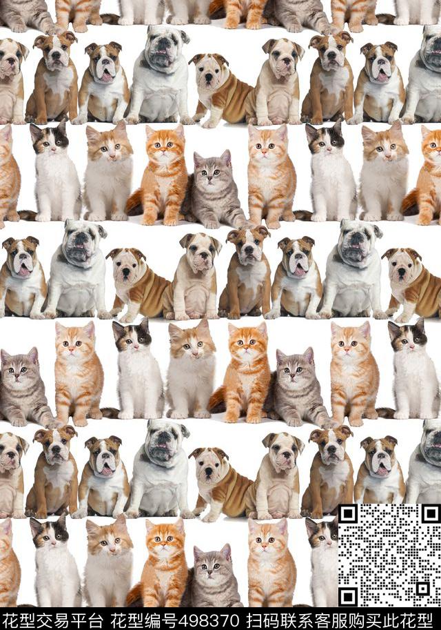 小猫小狗动物数码印花华亿平台下载（图片编号: 498370） - 瓦栏（Walan）