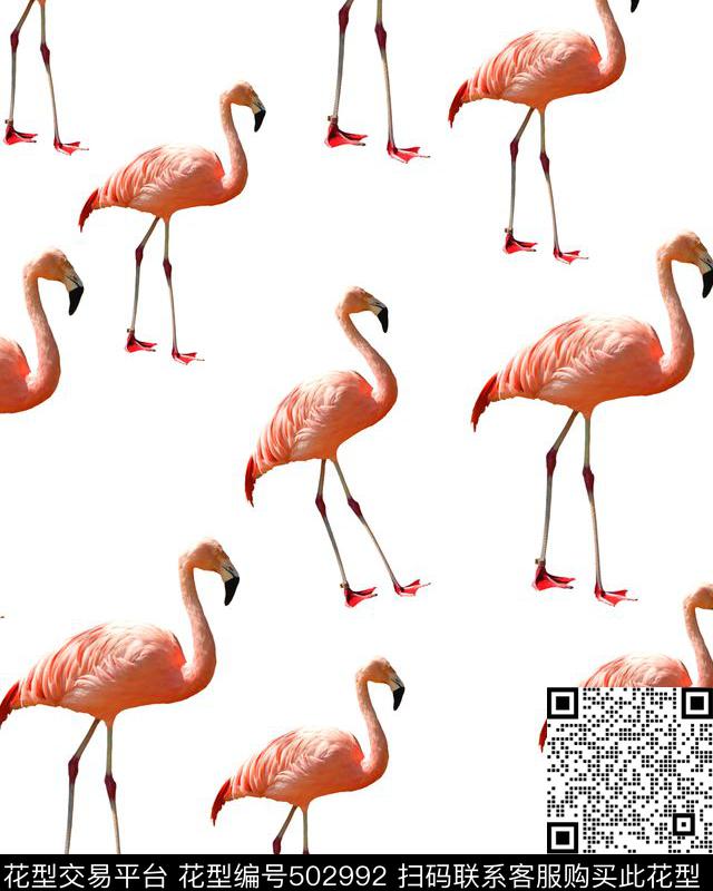 动物火烈鸟男装华亿平台数码印花华亿平台下载（图片编号: 502992） - 瓦栏（Walan）