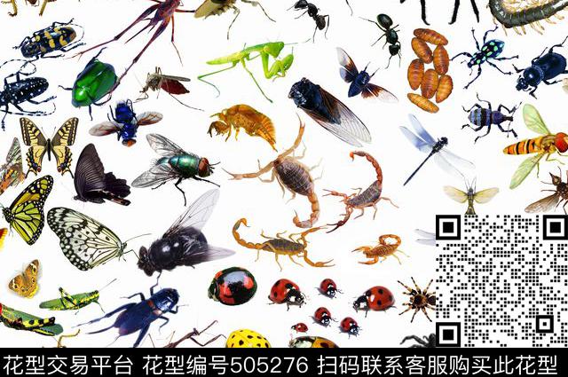 昆虫大世界蜻蜓蝎子蚂蚱知了数码印花华亿平台下载（图片编号: 505276） - 瓦栏（Walan）