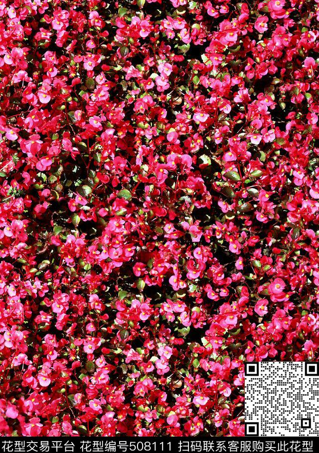 田园清新红色花海花卉数码印花华亿平台下载（图片编号: 508111） - 瓦栏（Walan）