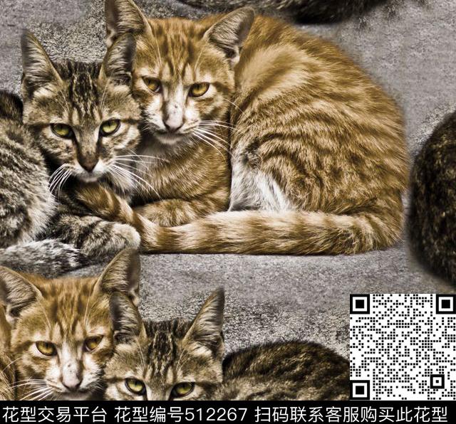 动物家猫小猫数码印花华亿平台下载（图片编号: 512267） - 瓦栏（Walan）