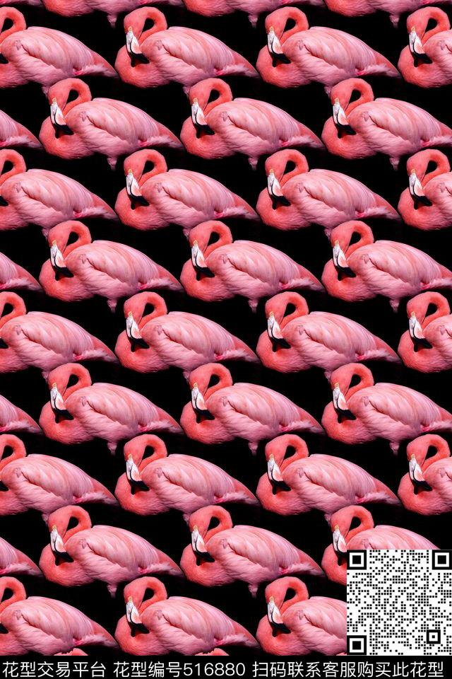 动物火烈鸟趣味印花数码印花华亿平台下载（图片编号: 516880） - 瓦栏（Walan）