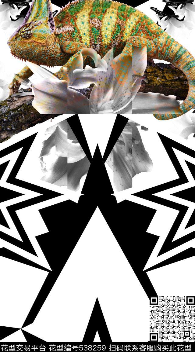 简洁大气男装定位变色龙、几何、黑白男装印花集锦数码印花华亿平台下载（图片编号: 538259） - 瓦栏（Walan）