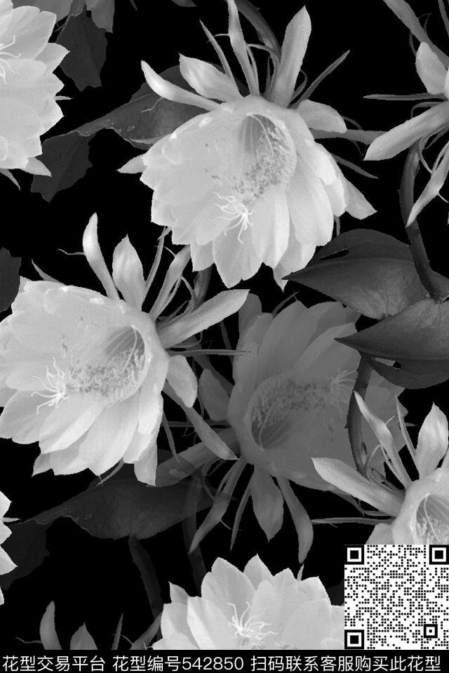 时尚男装卫衣满地花卉数码印花华亿平台下载（图片编号: 542850） - 瓦栏（Walan）