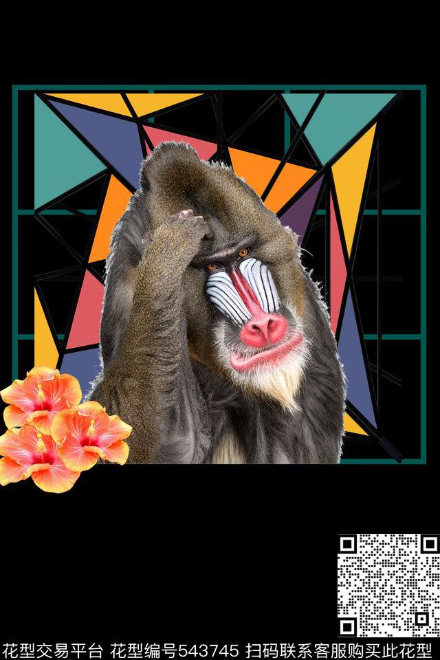 流行时尚狒狒几何图案数码印花华亿平台下载（图片编号: 543745） - 瓦栏（Walan）