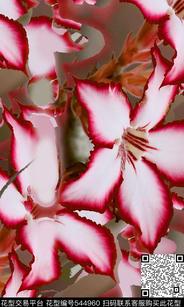 时尚浪漫花卉梦幻花卉传统印花华亿平台下载（图片编号: 544960） - 瓦栏（Walan）