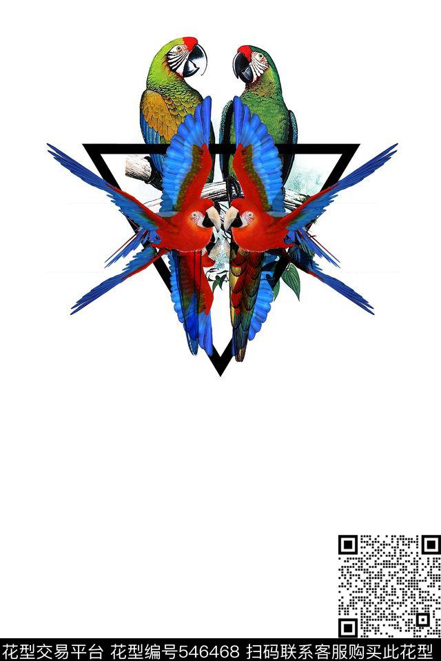 鹦鹉动物金刚鹦鹉数码印花华亿平台下载（图片编号: 546468） - 瓦栏（Walan）