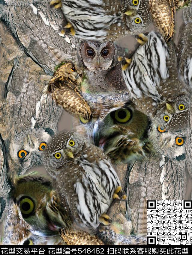 复古猫头鹰潮流数码印花华亿平台下载（图片编号: 546482） - 瓦栏（Walan）
