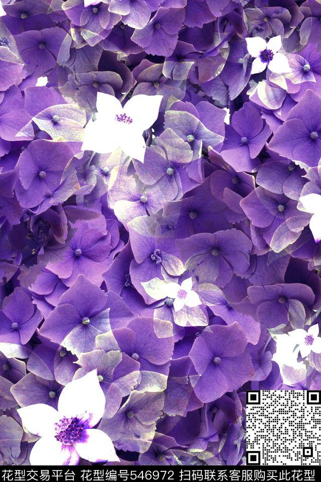 时尚流行花卉大花数码印花华亿平台下载（图片编号: 546972） - 瓦栏（Walan）