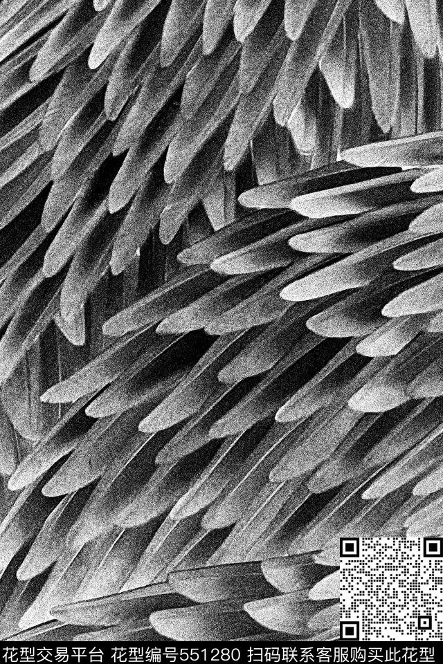 黑白酷感暗黑羽毛质感独幅定位T恤印花图案传统印花华亿平台下载（图片编号: 551280） - 瓦栏（Walan）