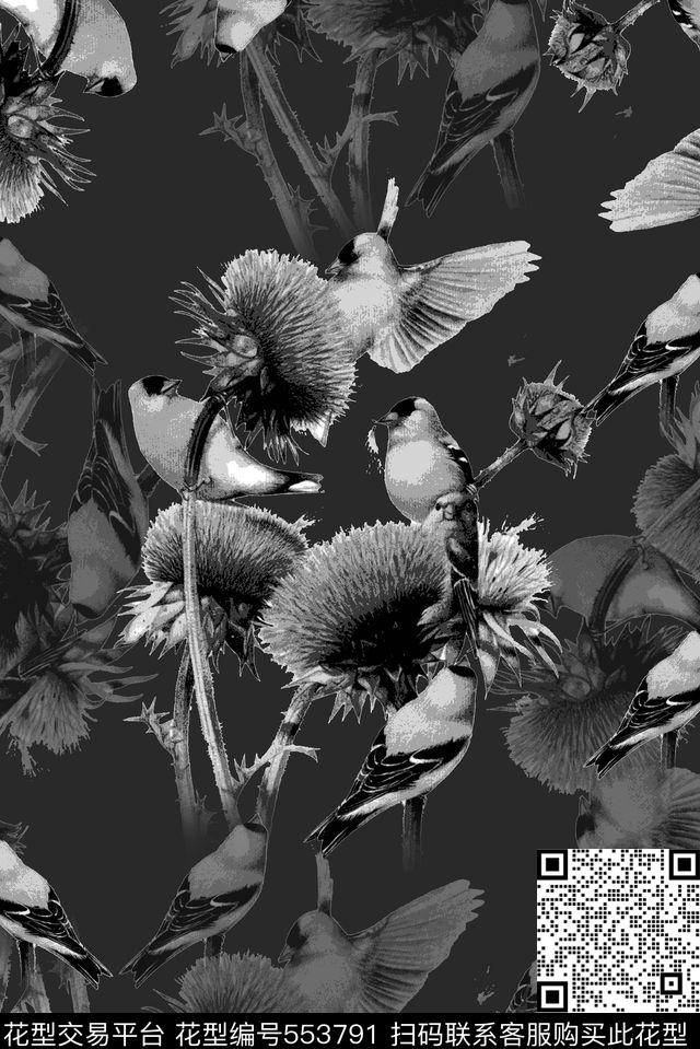 抽象男装图案手绘花鸟男装羽绒服图案数码印花华亿平台下载（图片编号: 553791） - 瓦栏（Walan）