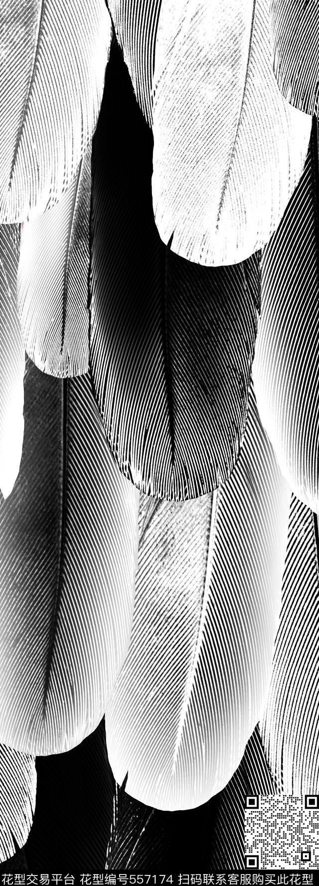 羽毛黑白定位传统印花华亿平台下载（图片编号: 557174） - 瓦栏（Walan）