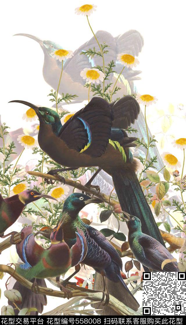 鸟雏菊花卉数码印花华亿平台下载（图片编号: 558008） - 瓦栏（Walan）