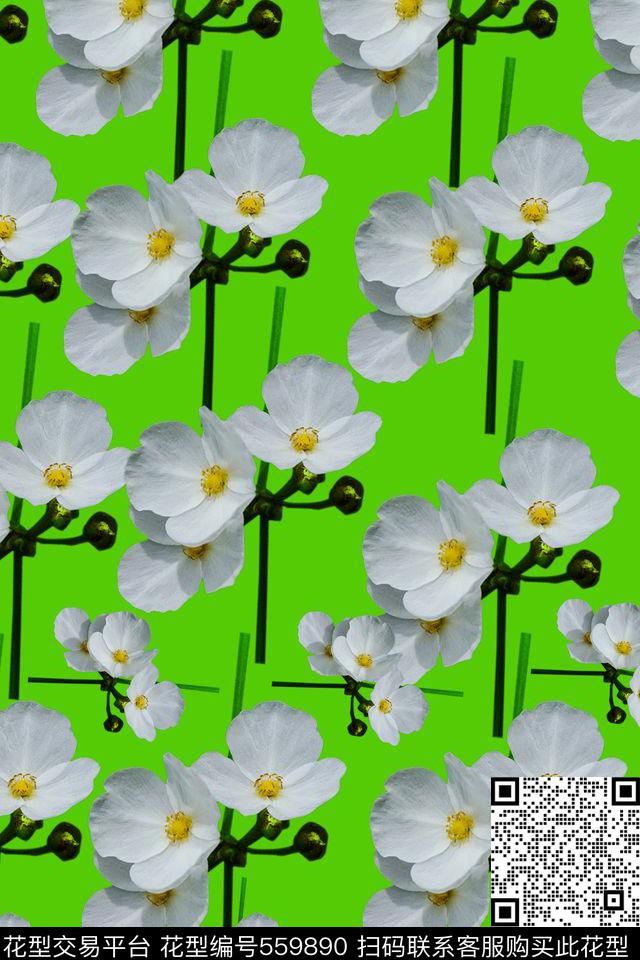 花卉时尚数码华亿平台数码印花华亿平台下载（图片编号: 559890） - 瓦栏（Walan）