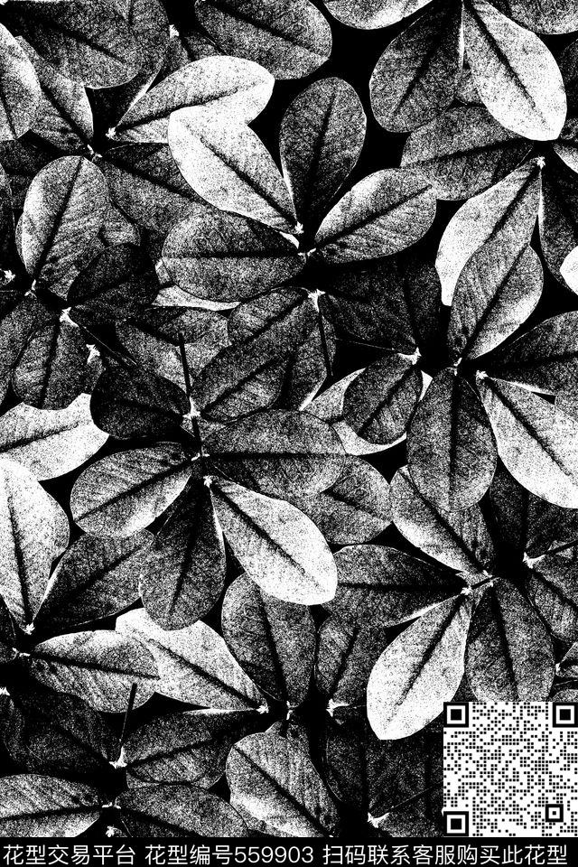 白传统华亿平台黑数码印花华亿平台下载（图片编号: 559903） - 瓦栏（Walan）