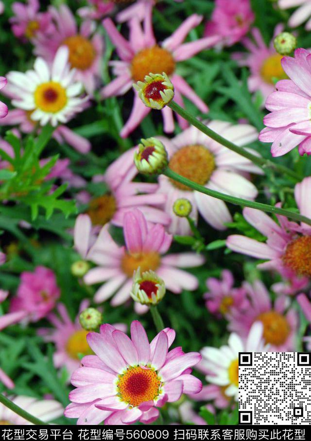 植物花绿叶数码印花华亿平台下载（图片编号: 560809） - 瓦栏（Walan）