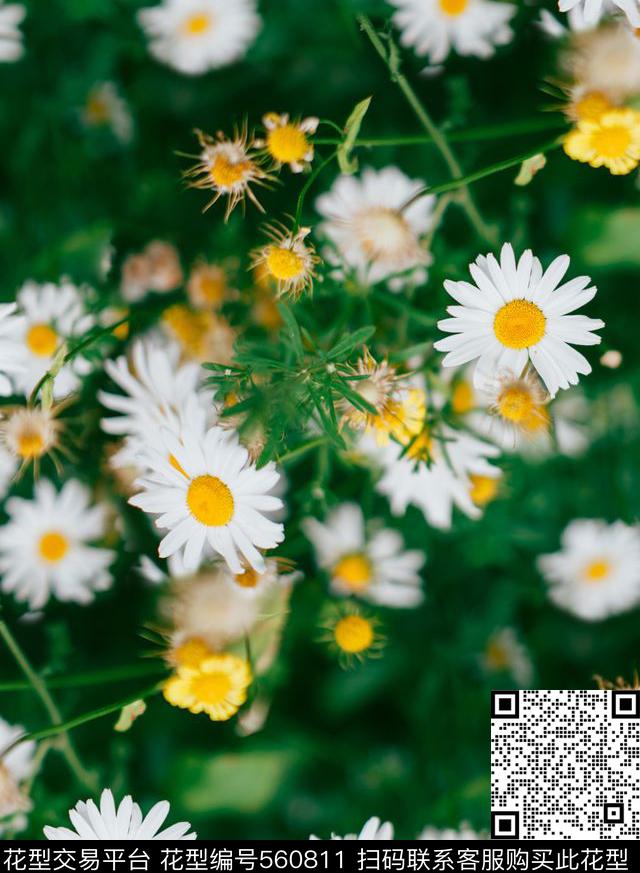 植物花绿叶数码印花华亿平台下载（图片编号: 560811） - 瓦栏（Walan）