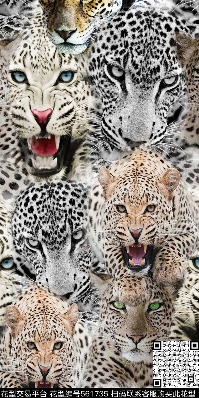 女装毛绒灯芯绒拼合动物豹时尚流行新潮数码印花华亿平台下载（图片编号: 561735） - 瓦栏（Walan）