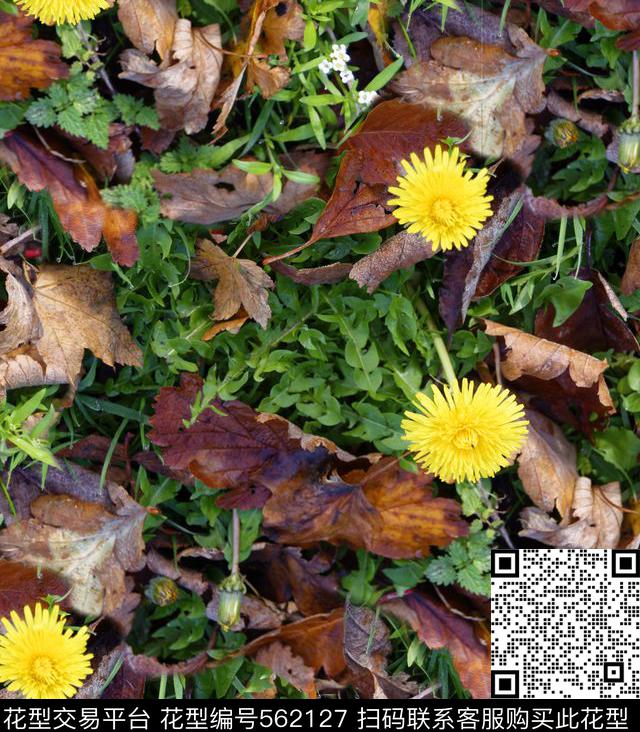 植物花卉唯美数码印花华亿平台下载（图片编号: 562127） - 瓦栏（Walan）