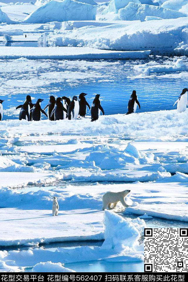 时尚风景北极风光数码印花华亿平台下载（图片编号: 562407） - 瓦栏（Walan）