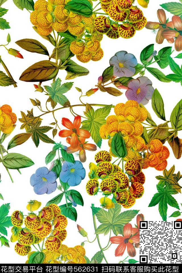 服装复古花卉数码印花华亿平台下载（图片编号: 562631） - 瓦栏（Walan）