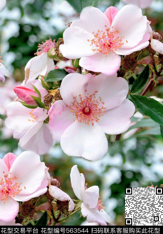 花卉枝叶唯美数码印花华亿平台下载（图片编号: 563544） - 瓦栏（Walan）