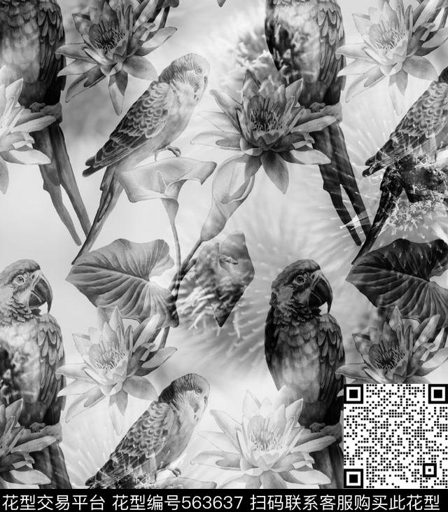 水墨风格鹦鹉百合花卉数码印花华亿平台下载（图片编号: 563637） - 瓦栏（Walan）